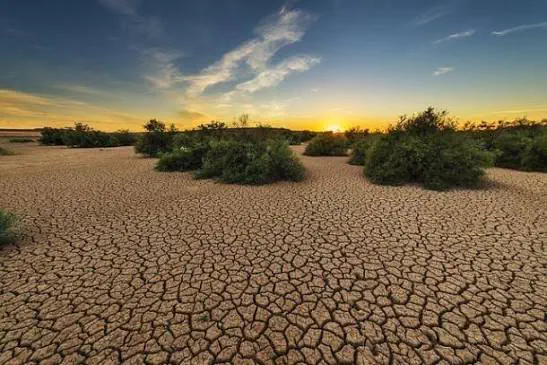 Drought Relief