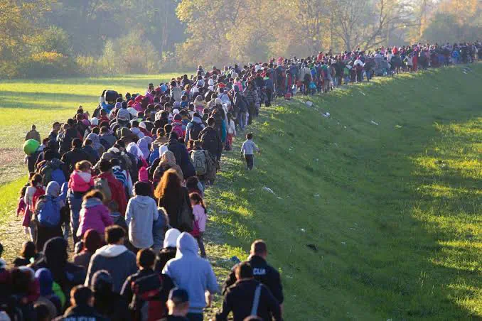 Refugee Support
